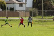 OTFL Gallery Image